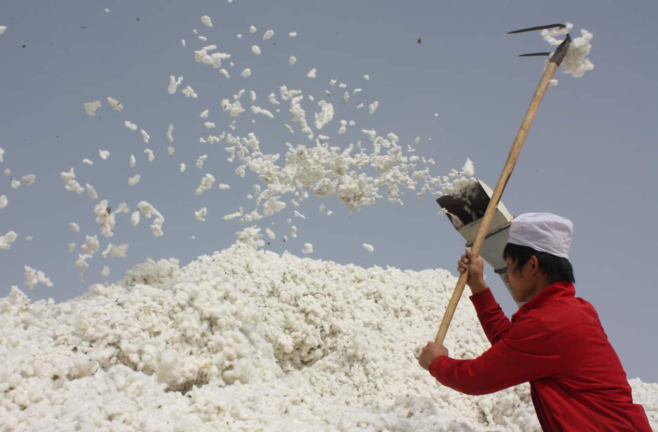 新疆棉花