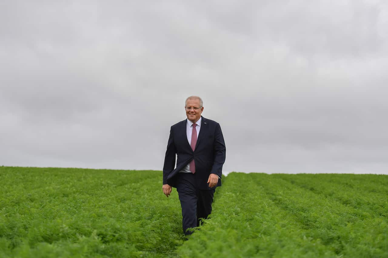 Prime Minister Scott Morrison at Premium Fresh farm 9km west of Devonport in Tasmania, Wednesday, April 17, 2019. (AAP Image/Mick Tsikas) NO ARCHIVING