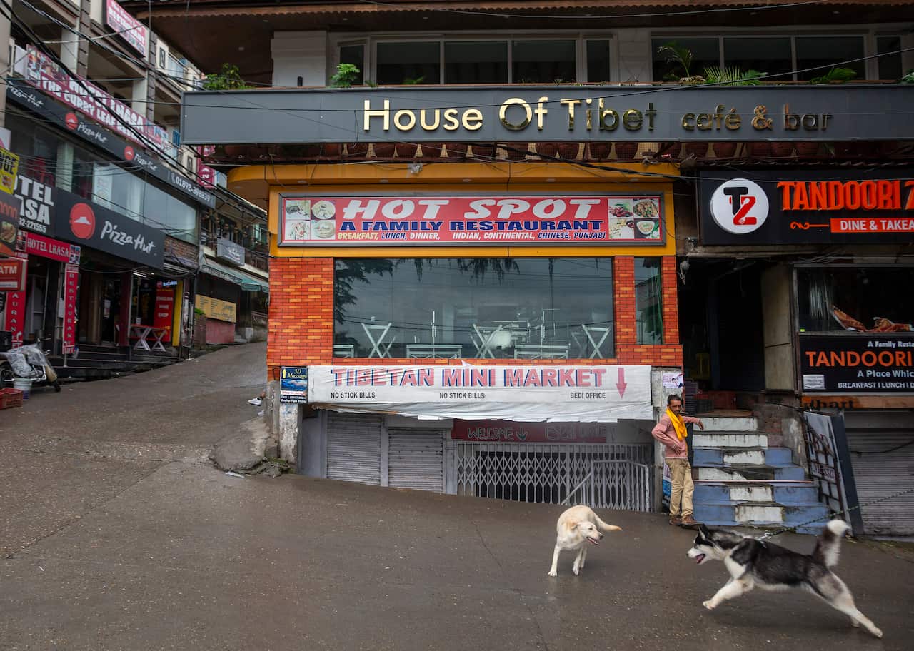A dog lunges at another on the main square in Dharmsala, India, Saturday, July 25, 2020. This Himalayan town, which is teeming with tourists each summer, is now empty due to the corona pandemic. (AP Photo/Ashwini Bhatia)