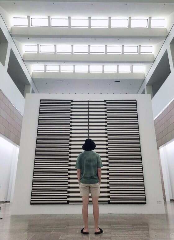BTS member RM watching a painting at the National Museum of Modern and Contemporary Art, Korea