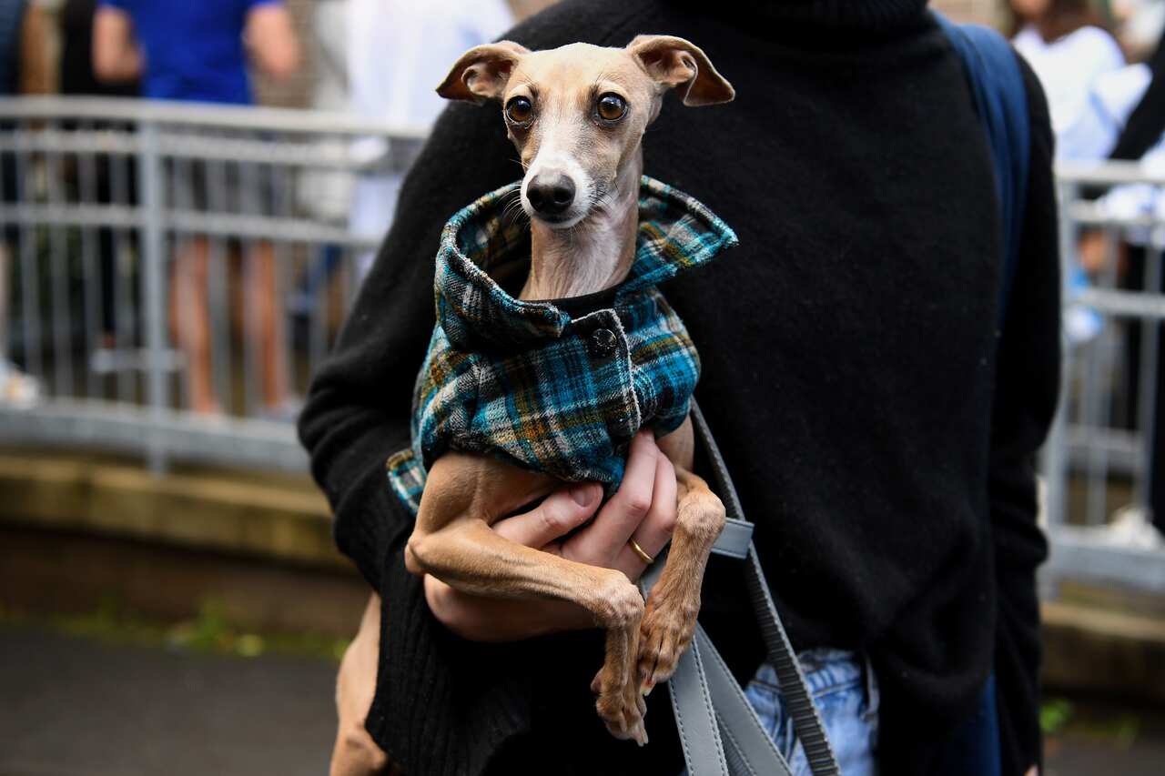 Voting Day in pictures