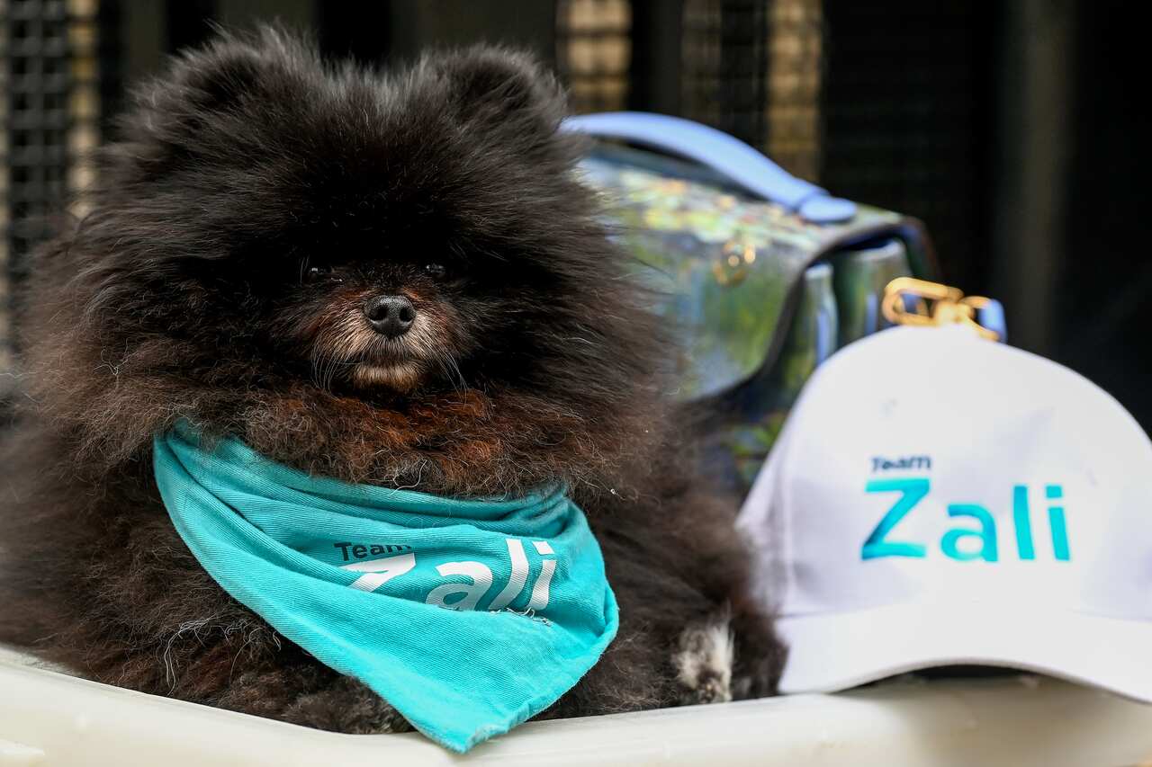 Voting Day in pictures