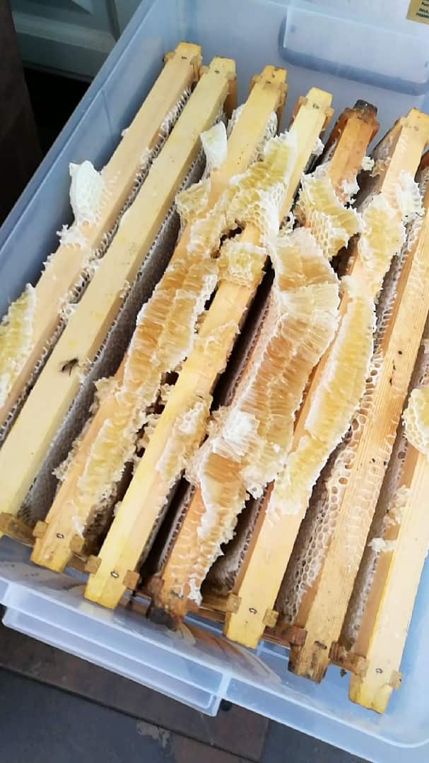 beekeeper