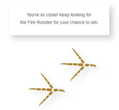Rooster footprints