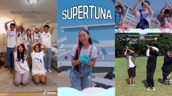 BTS Jin's 'Super Tuna' Becomes a Worldwide Hit