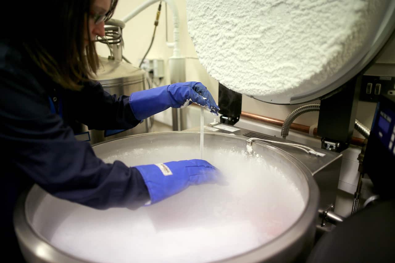 Women and Stem studies