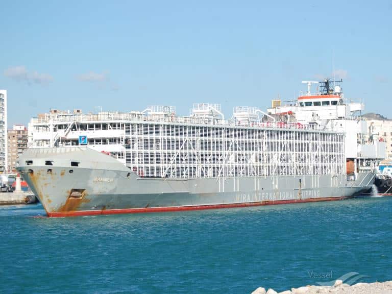 The Gulf Livestock 1 ship is missing off the coast of Japan after strong winds from typhoon Maysak lashed the region.