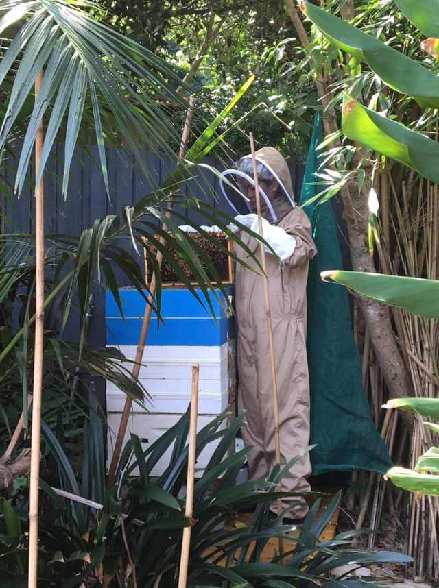 beekeeper