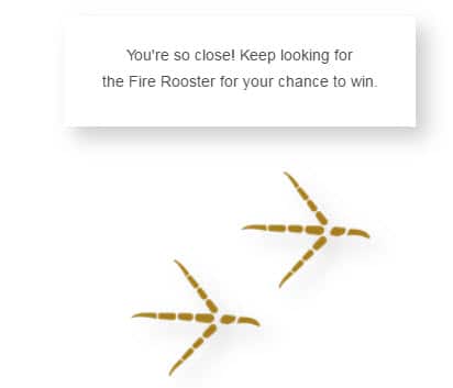 Rooster Foot Print