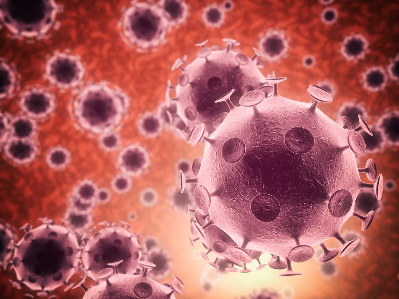Microscopic view of bacteria in colour