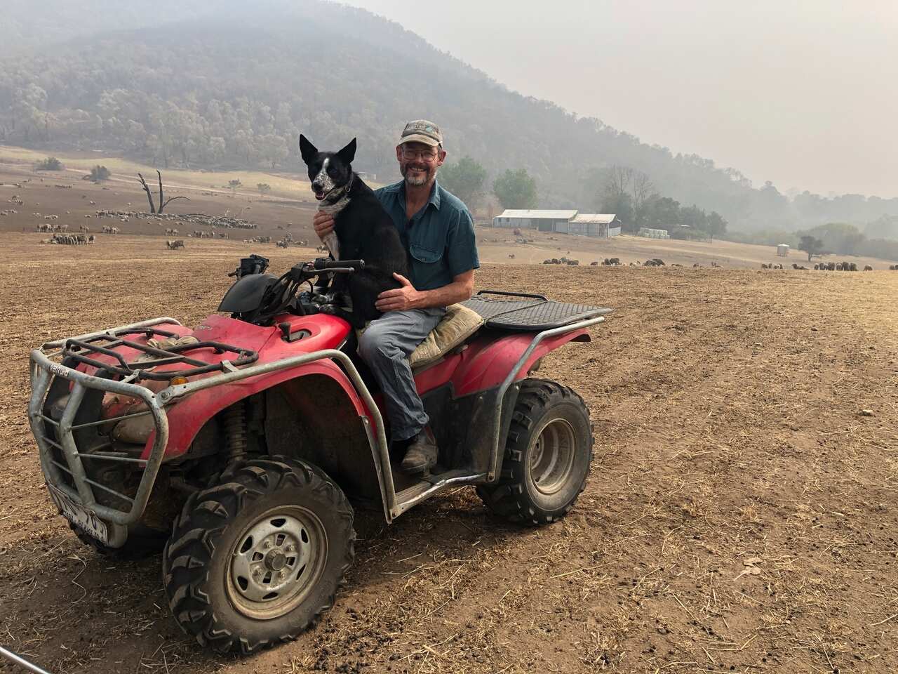 Patsy - who bravely stayed to protect her 900 strong flock of sheep - and owner Stephen Hill.