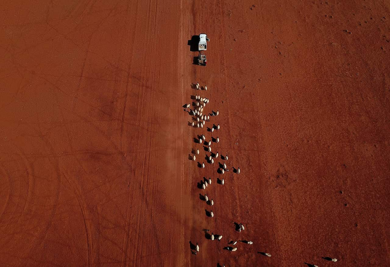 Queensland is in the grip of a crippling drought, with 66 per cent of the state now drought declared.