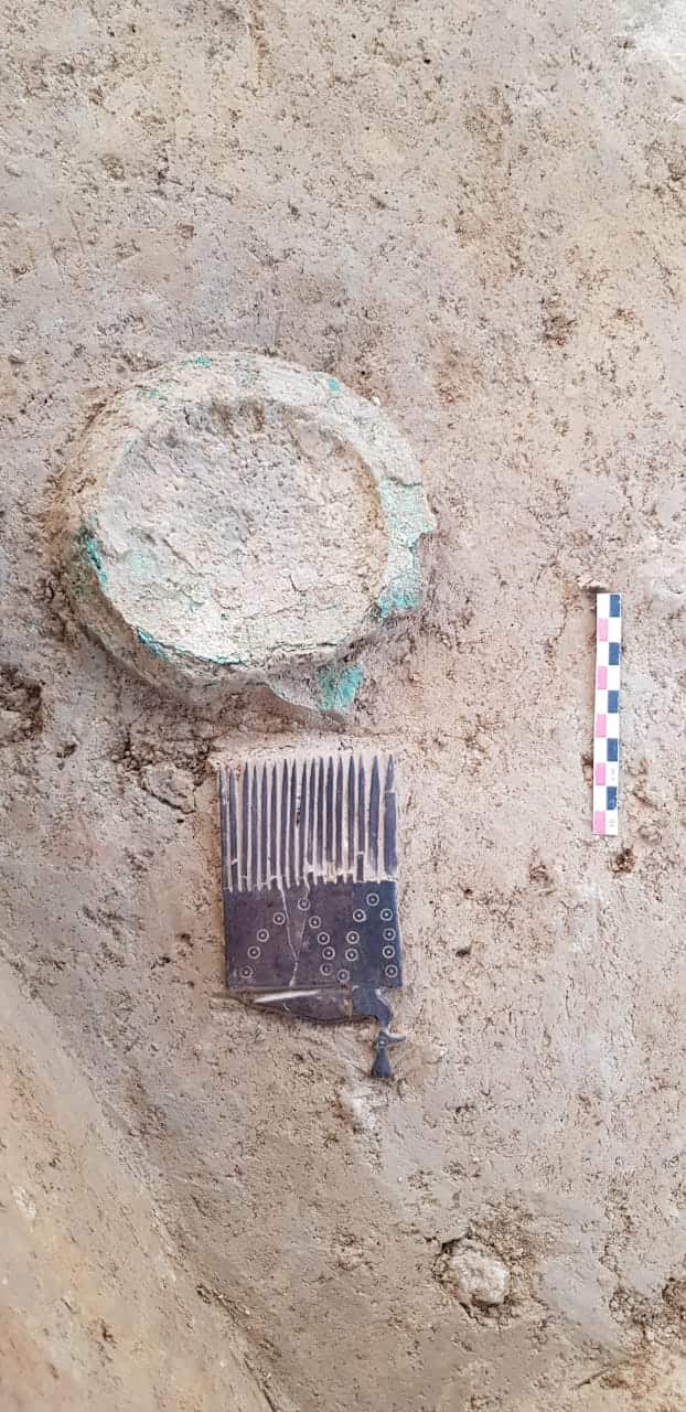 ASI Excavation site