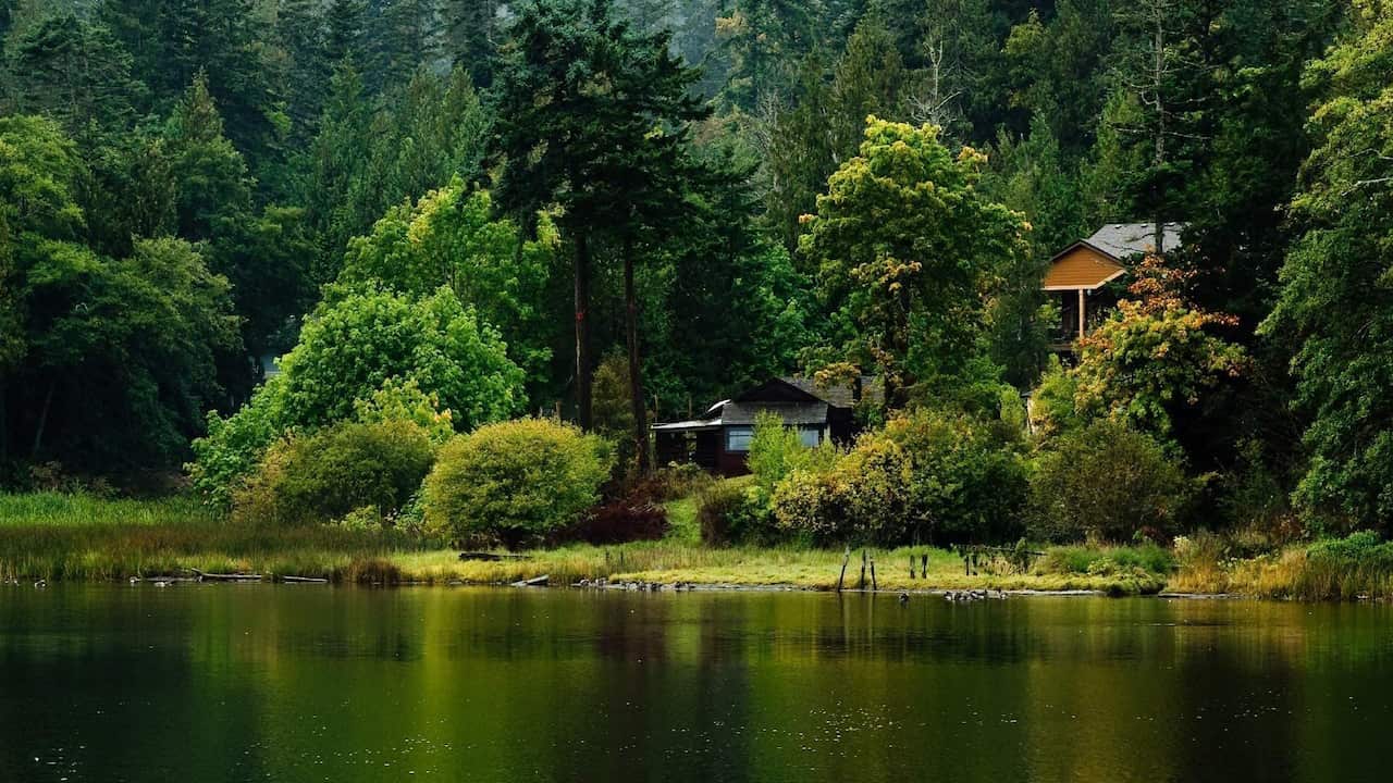 Nature Gallery