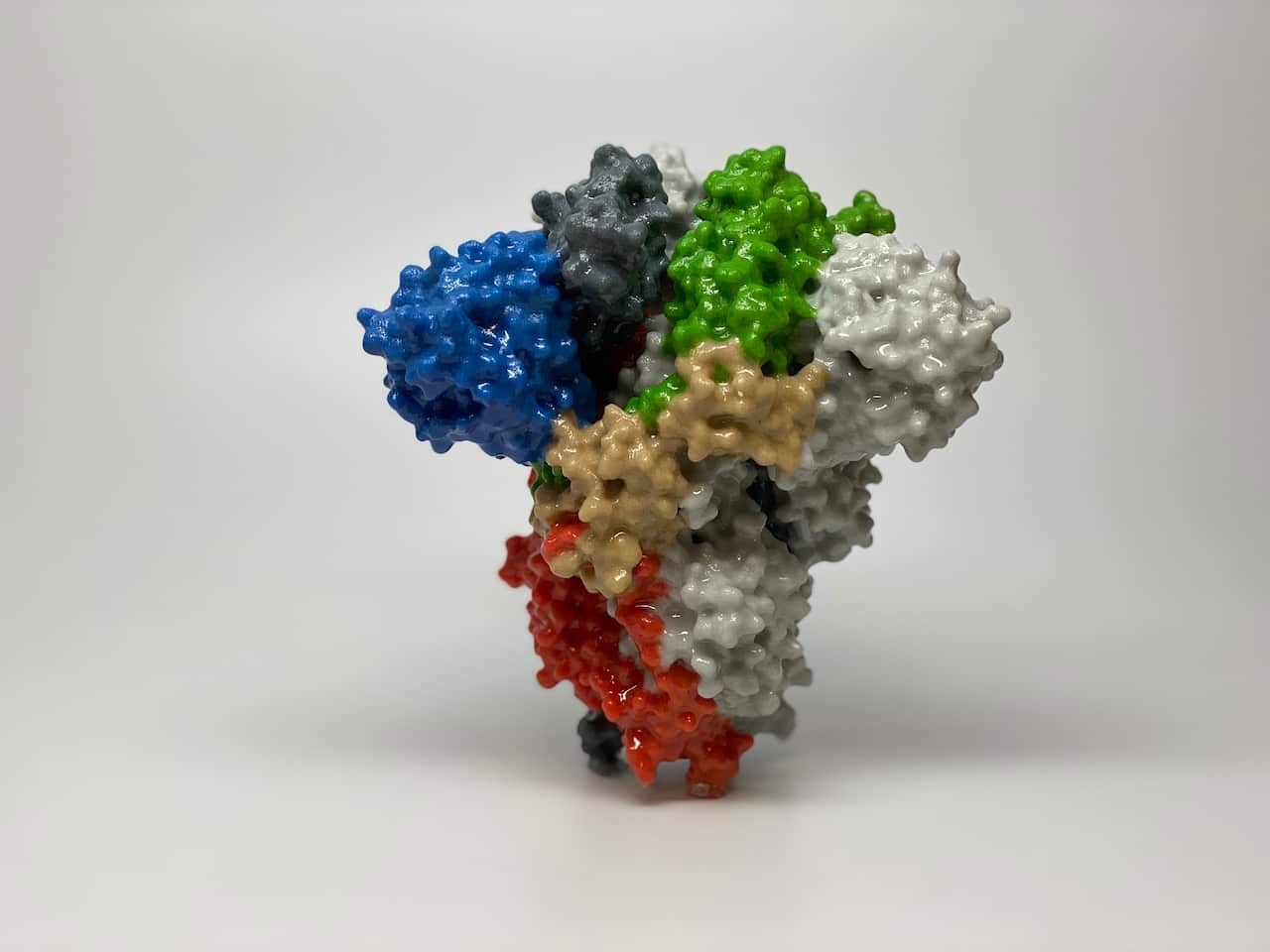 Novel coronavirus sars-cov-2 spike protein