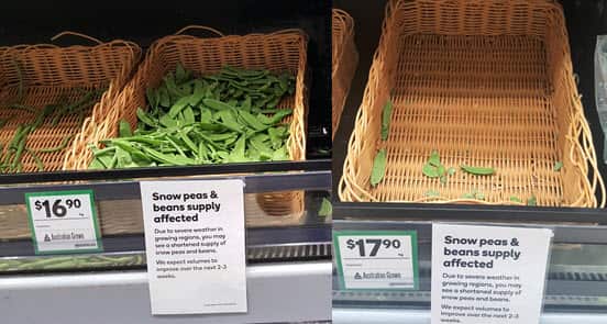 Prices of snowpeas jumped from $16.90 to $17.90 per kilo overnight