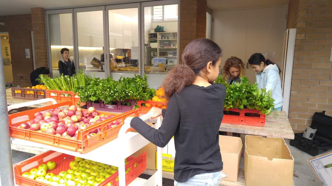 The veggie co-op is arranged every fortnight.