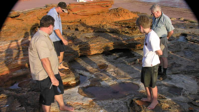 Guide points out fossilised dinosaur footprints in rocks near Broome.