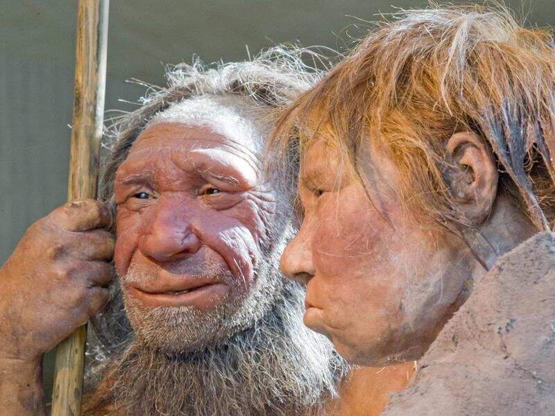 Neanderthals