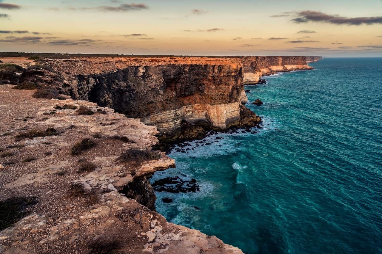Environmental activists have hailed as 'an incredible win' an announcement that Santos and Murphy Oil will abandon drilling plans in the Great Australian Bight.