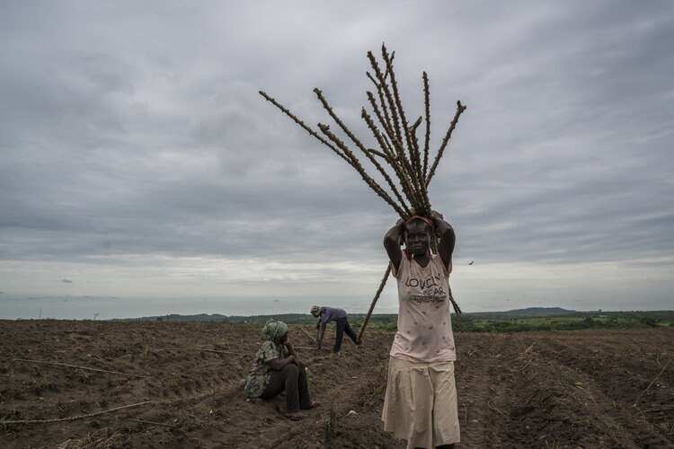 Millennials ‘Make Farming Sexy’ in Africa, Where Tilling the Soil Once Meant Shame