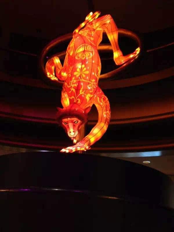 Monkey at casino melbourne