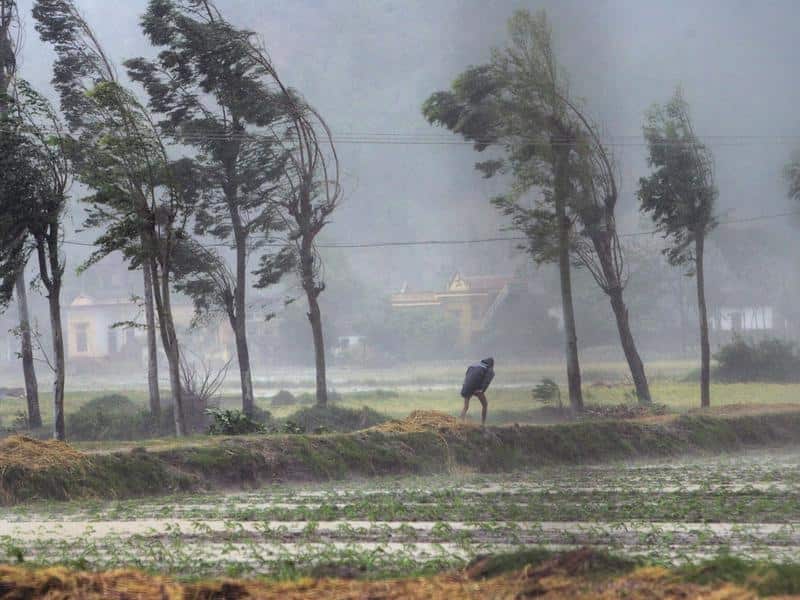 (AP Photo/Richard Vogel)