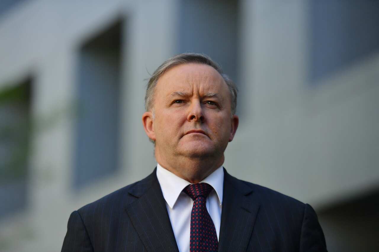 Labor leader Anthony Albanese took over from Bill Shorten following his election loss.