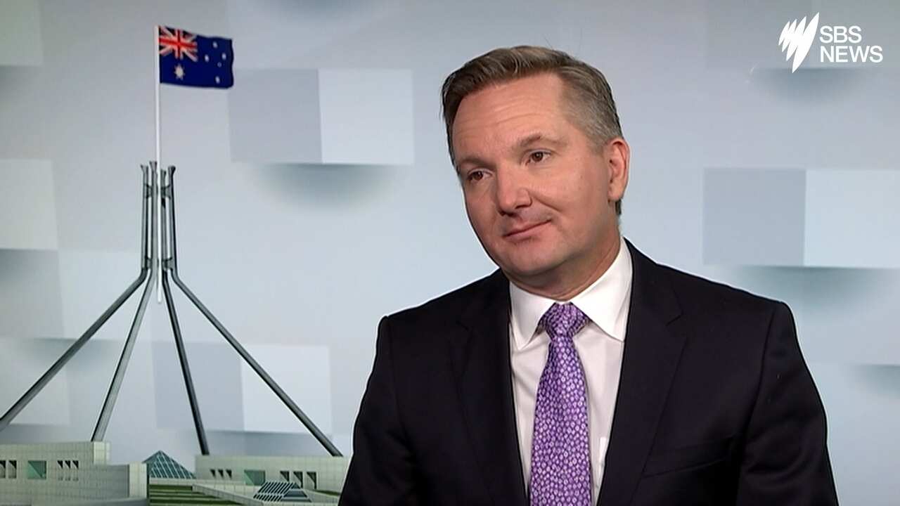 Budget 2019: Chris Bowen responds