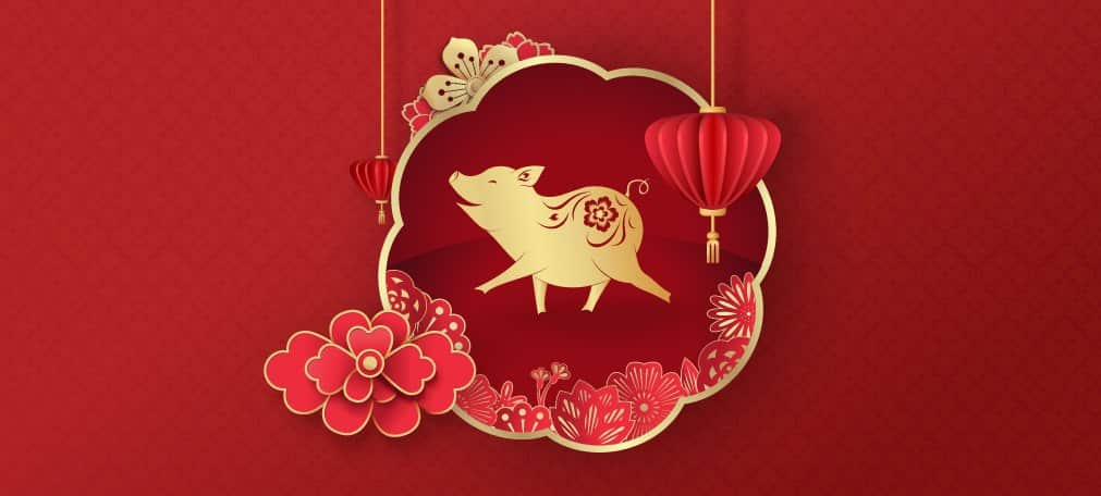 The Year of the Pig