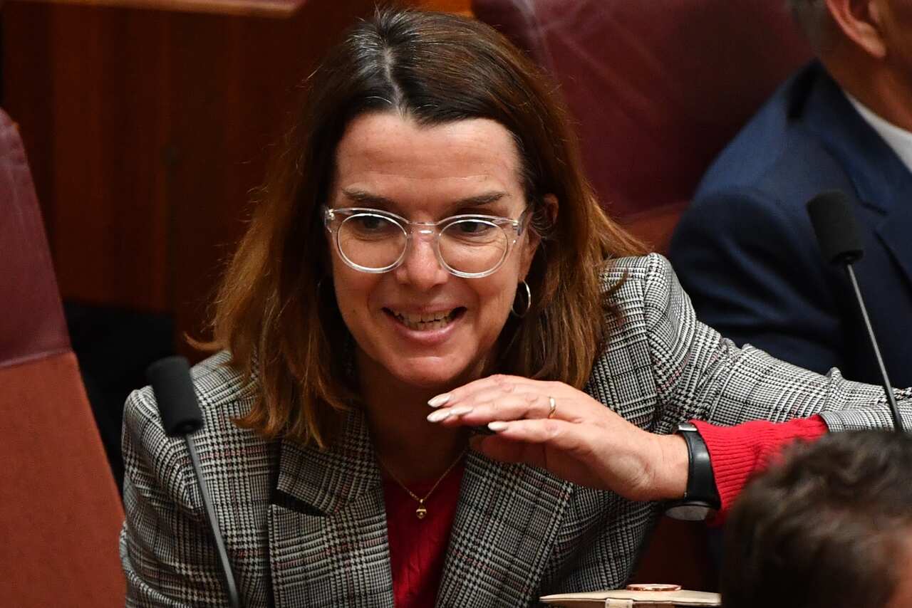 Minister for Families Anne Ruston in the Senate chamber at Parliament House in Canberra, Wednesday, July 31, 2019. (AAP Image/Mick Tsikas) NO ARCHIVING