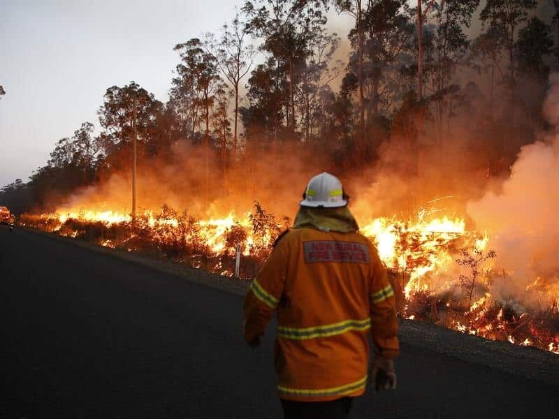 NSW BUSHFIRES