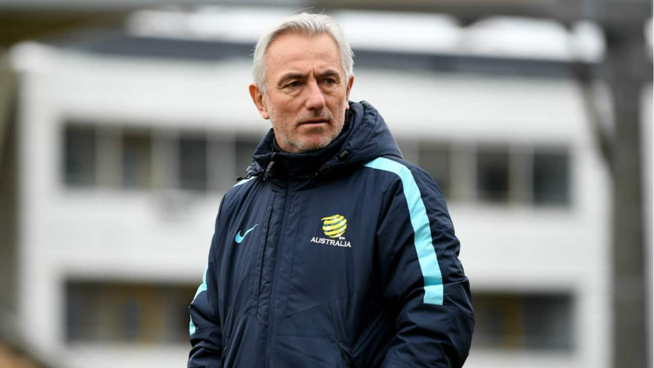 van Marwijk