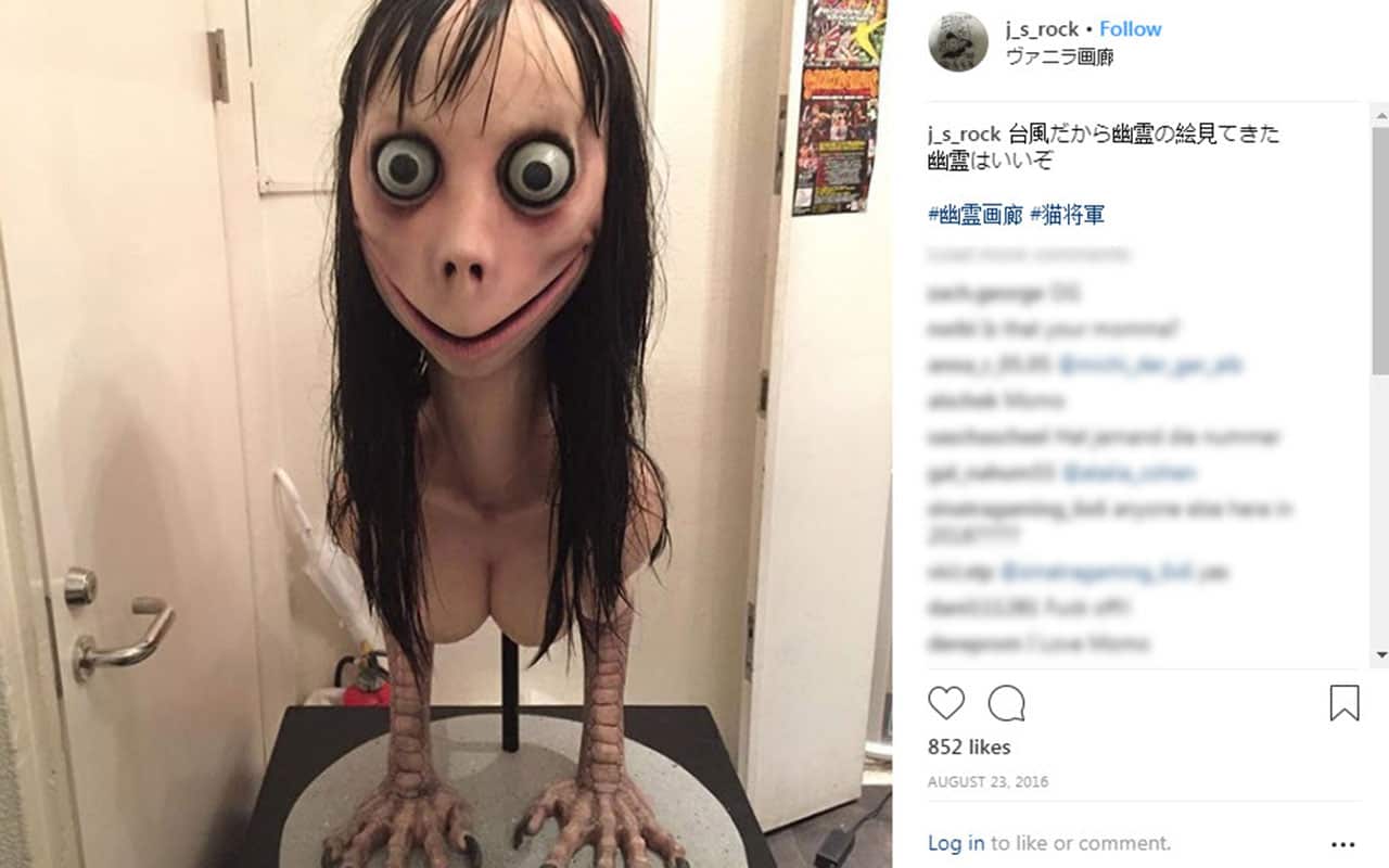 The avatar used on Momo WhatsApp accounts has been linked to this photo.