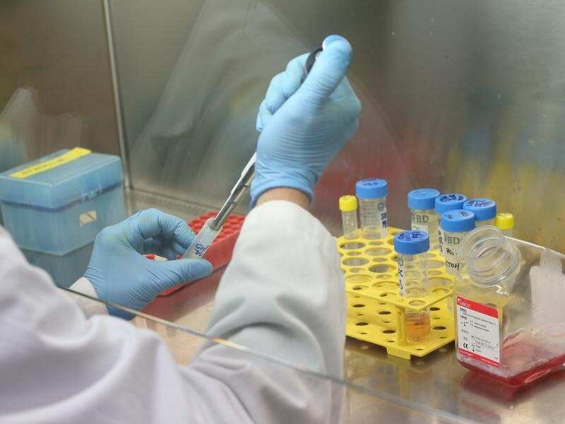 A scientist works in a medical lab.