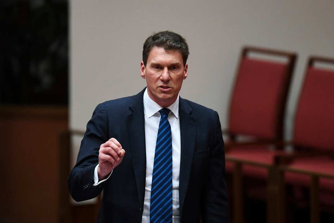 Senator Cory Bernardi has reignited debate about banning the burqa.
