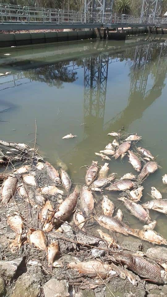 Redbank Weir