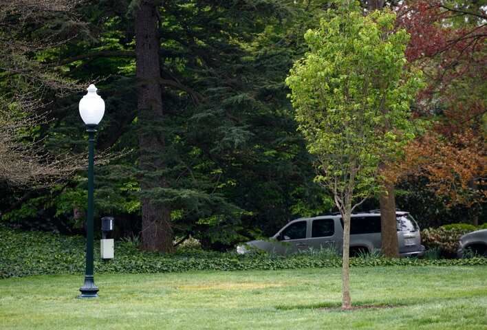 An empty area where a tree was planted by U.S. President Donald Trump and French President Emmanuel Macron (AAP)