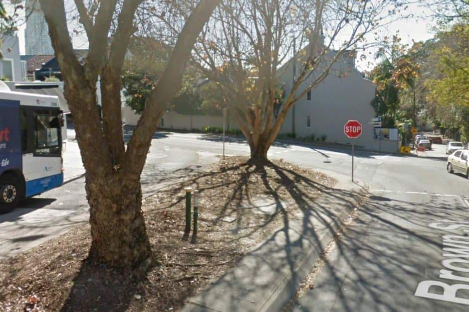 Paddington's leafy streets include some confusing street signs. Mind the bus!