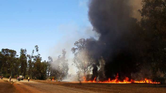 Chile Bushfires
