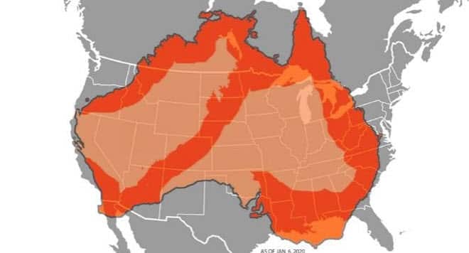 Bushfire