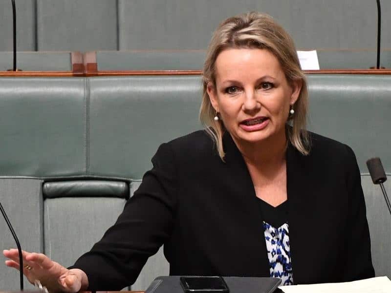 Senior Liberal MP Sussan Ley is calling on the NSW branch of the party to bring in quotas "as soon as possible" to ensure more women are elected.