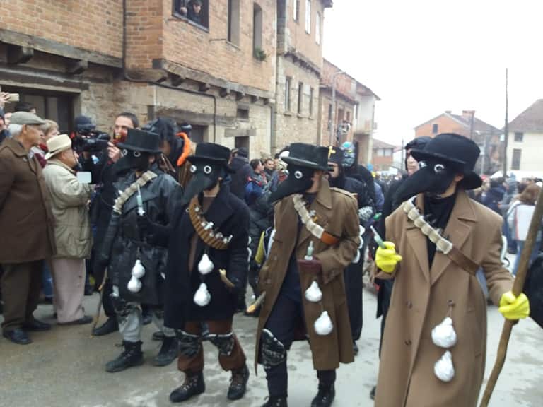 Babari celebrations