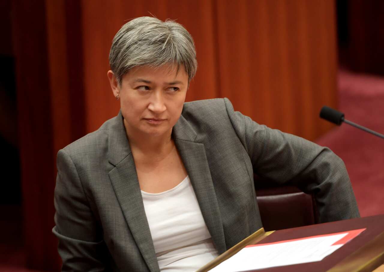 Penny Wong has endorsed Anthony Albanese as the "best person" to become the party's next national leader.