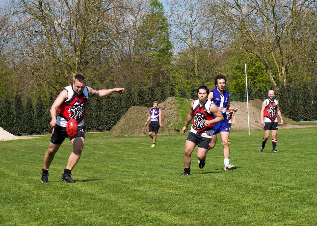 Rheinland Lions