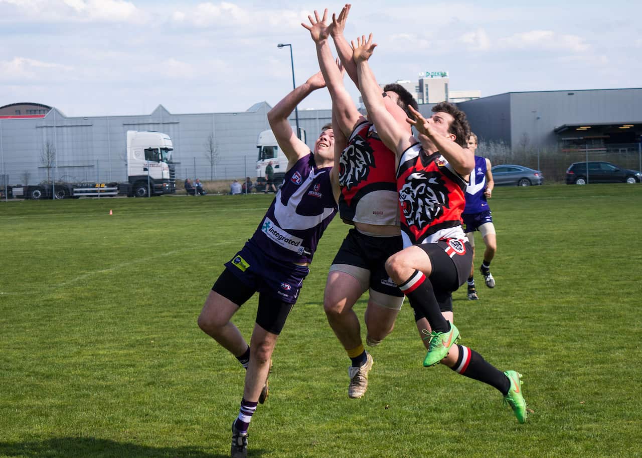 Rheinland Lions