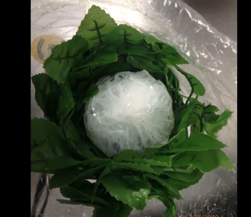 ABF officers detect live fish in package from Vietnam