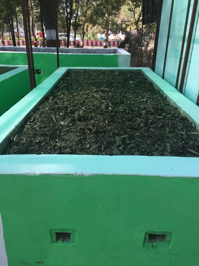 Compost Pit