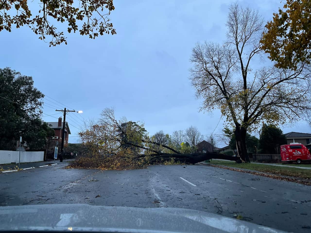 wild weather