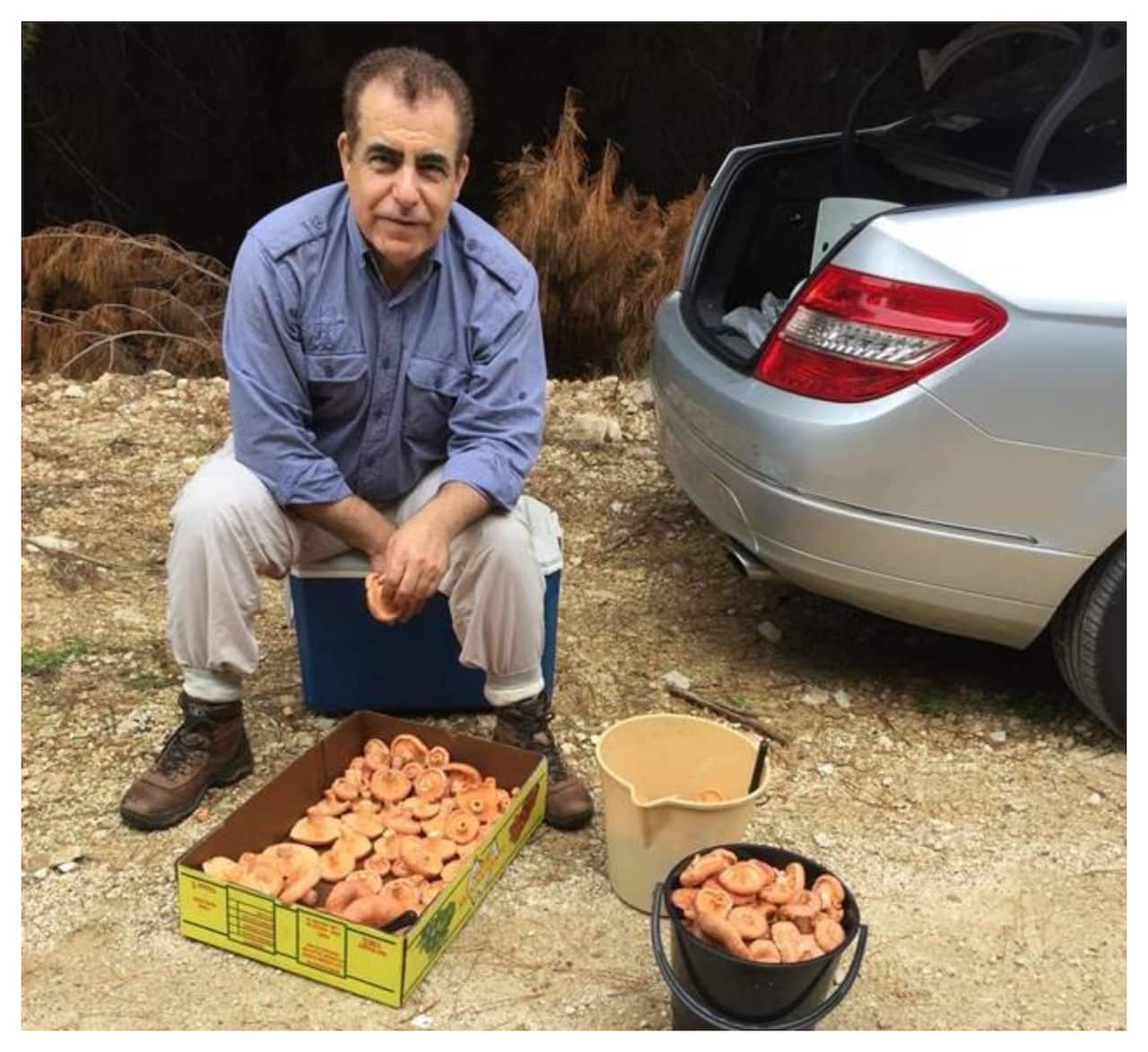 Dr. Mahmoud Abu-Arab